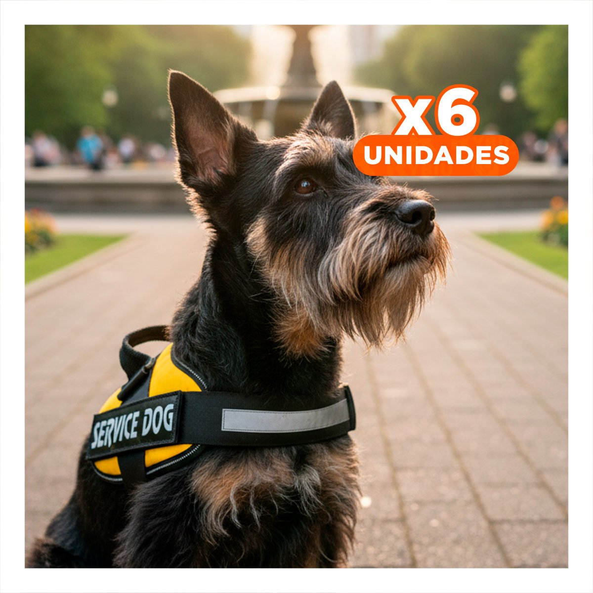 PACK6 CHALECO PECHERA SERVICE DOG TALLA S AMARILLO PARA CALLE Y+REGALO STICKER - 1