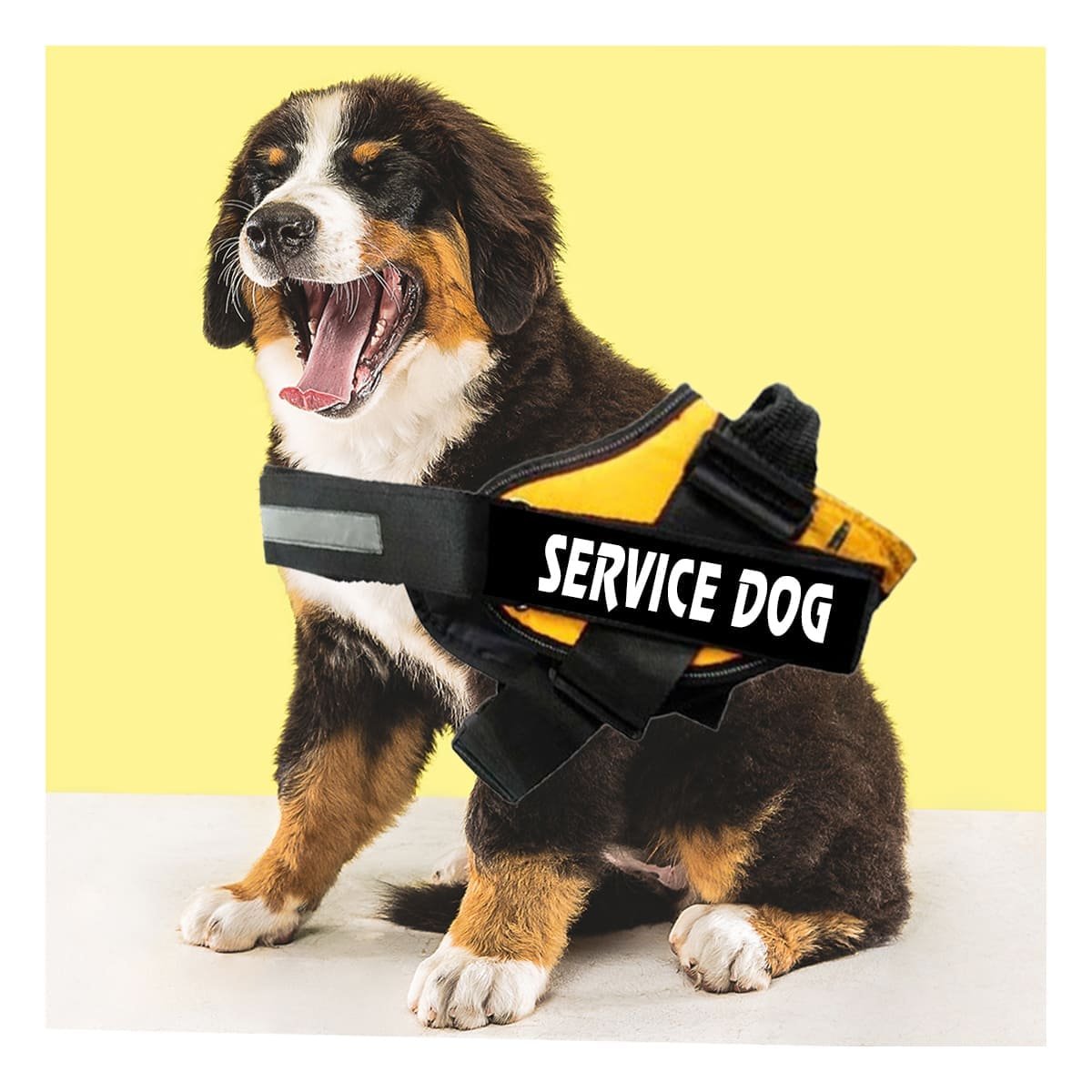 PACK6 CHALECO PECHERA SERVICE DOG TALLA S AMARILLO PARA CALLE Y+REGALO STICKER - 5