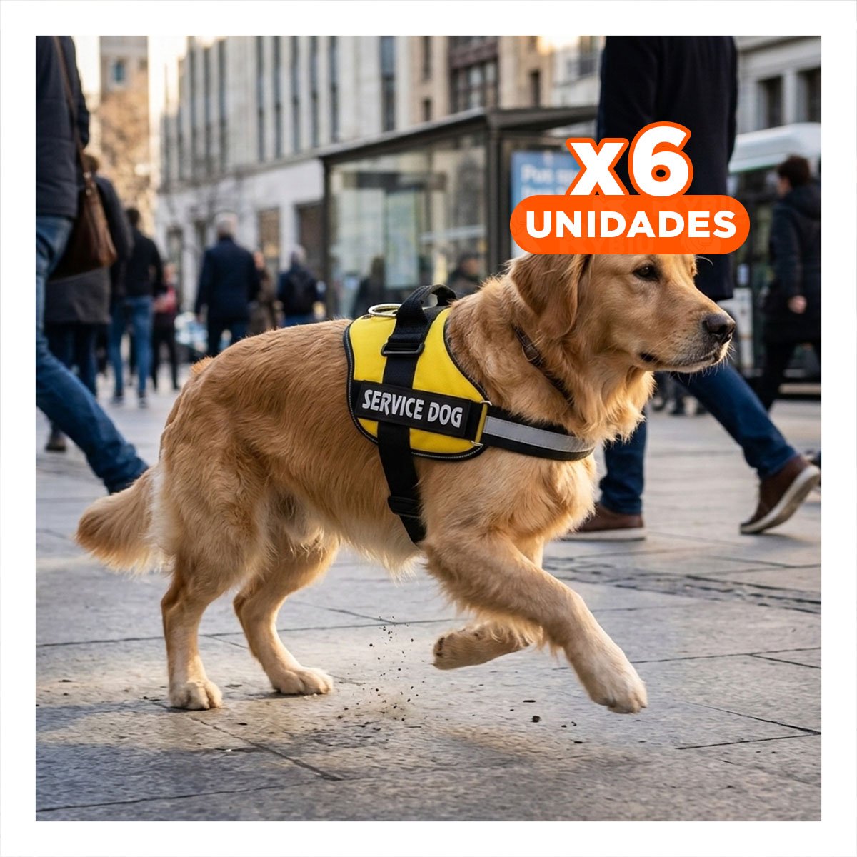 PACK6 CHALECO REFORZADO SERVICE DOG TALLA XXL AMARILLO TRABAJO DIARIO Y+REGALO STICKER - 1