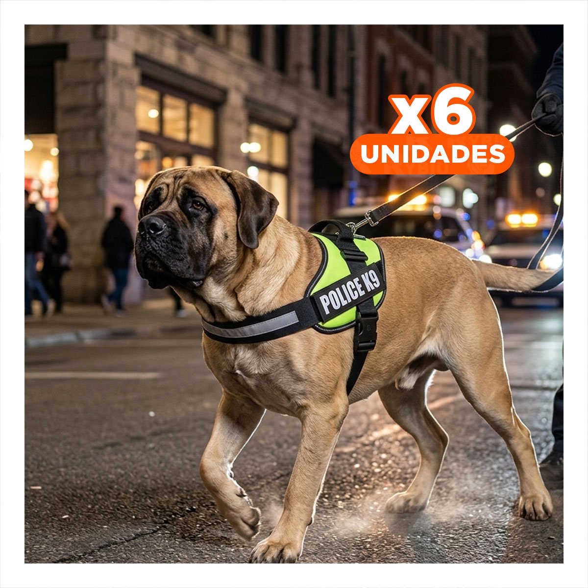 PACK6 CHALECO REFORZADO SERVICE DOG TALLA XXL VERDE TRABAJO DIARIO Y+REGALO STICKER - 1