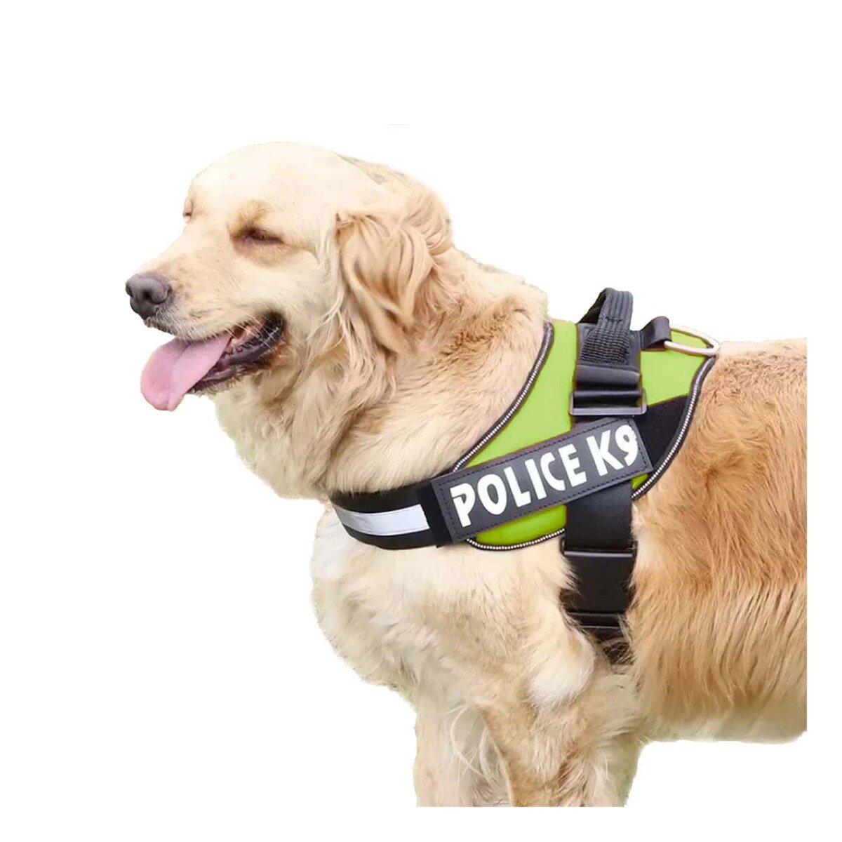 PACK6 CHALECO REFORZADO SERVICE DOG TALLA XXL VERDE TRABAJO DIARIO Y+REGALO STICKER - 2