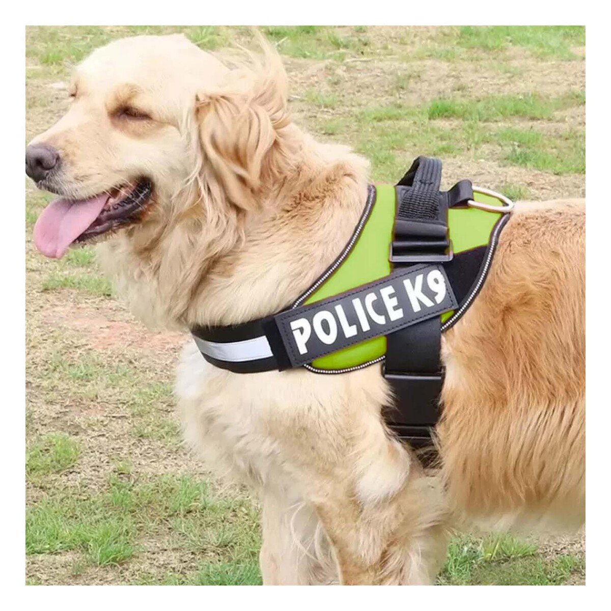 PACK6 CHALECO REFORZADO SERVICE DOG TALLA XXL VERDE TRABAJO DIARIO Y+REGALO STICKER - 5