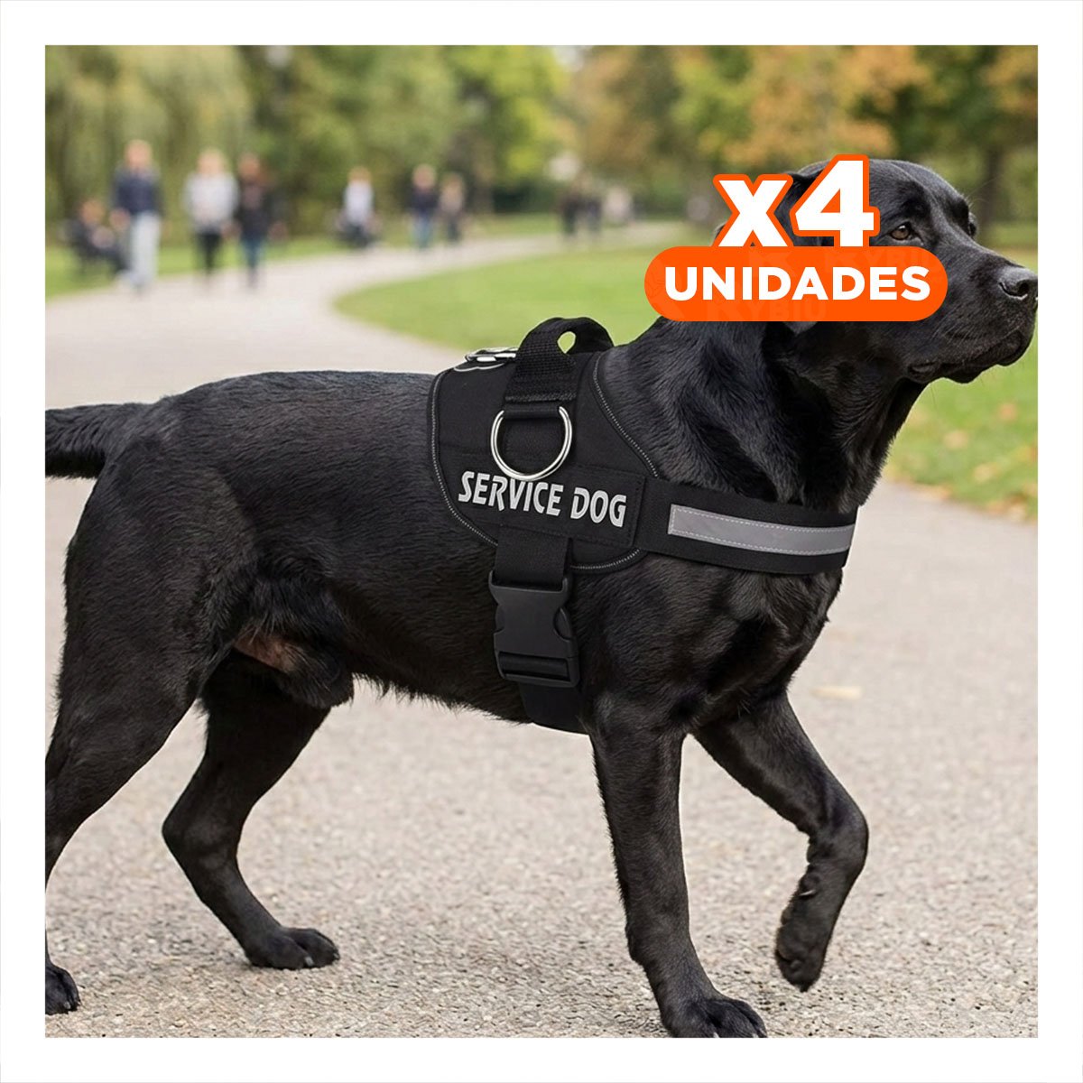 PACK4 ARNES COMODO SERVICE DOG TALLA XL NEGRO PASEOS LARGOS - 1