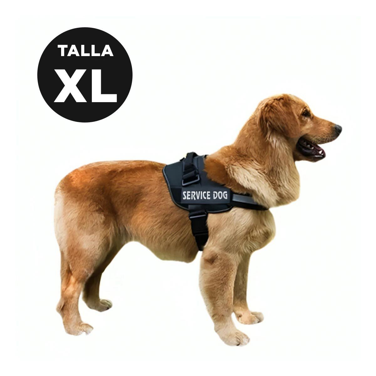 PACK4 ARNES COMODO SERVICE DOG TALLA XL NEGRO PASEOS LARGOS - 4