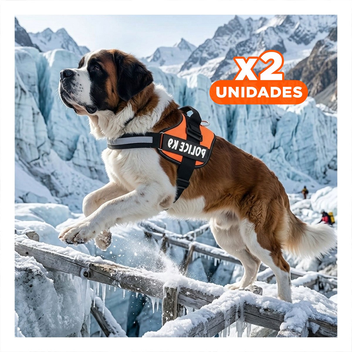 PACK2 PECHERA RESISTENTE SERVICE DOG TALLA XXL ANARANJADO ENTRENAMIENTO Y+REGALO STICKER - 1