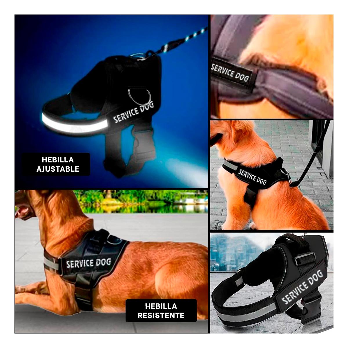 PACK4 CINTURON CANINO SERVICE DOG TALLA XL NEGRO SOPORTE SEGURO Y+REGALO STICKER - 2