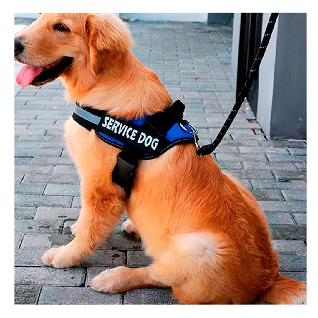 PACK2 ARNES REFORZADO SERVICE DOG TALLA XL AZUL USO CONSTANTE - 5