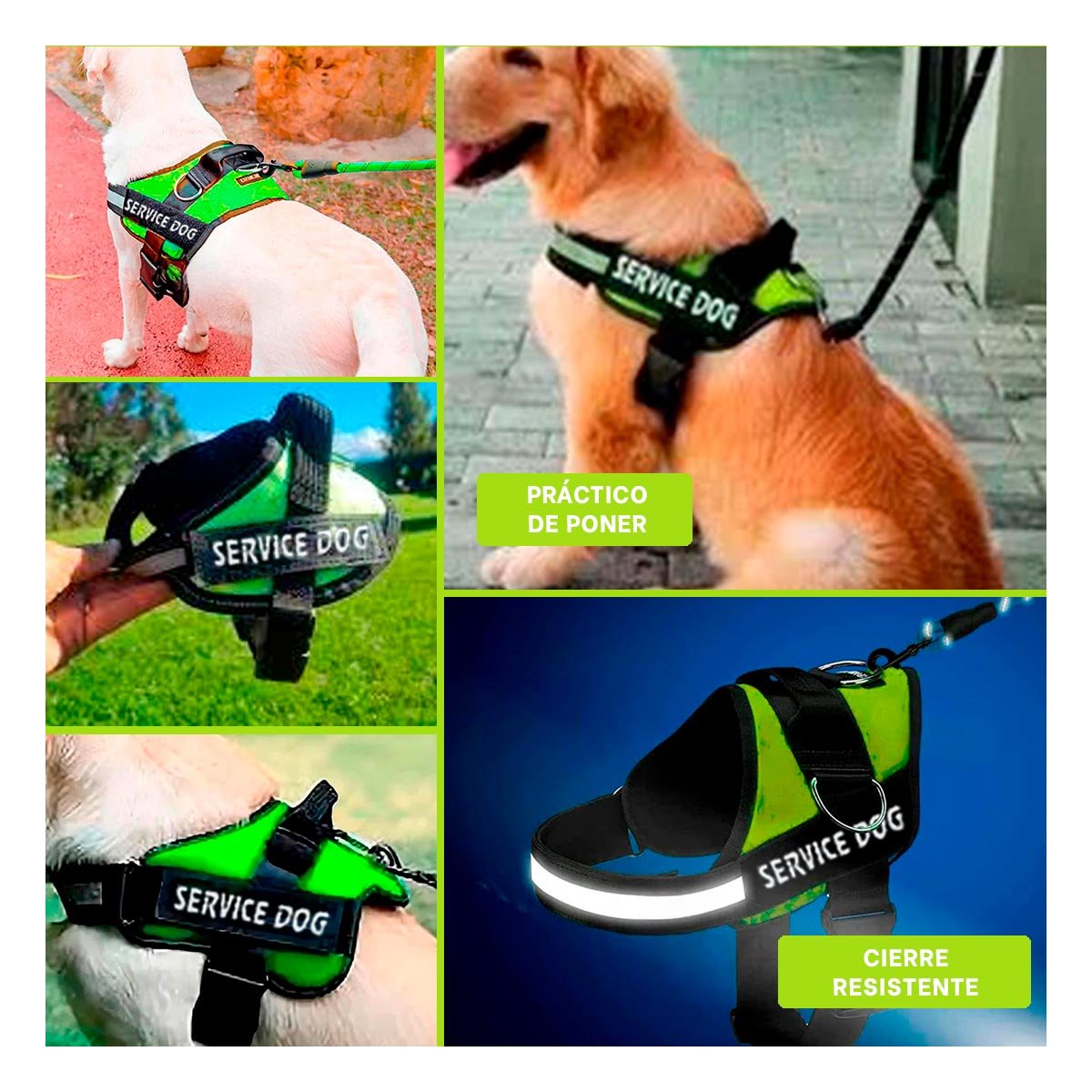 CORREA DE TRABAJO SERVICE DOG TALLA XL VERDE PARA PERRO FUERTE Y+POST IT - 1