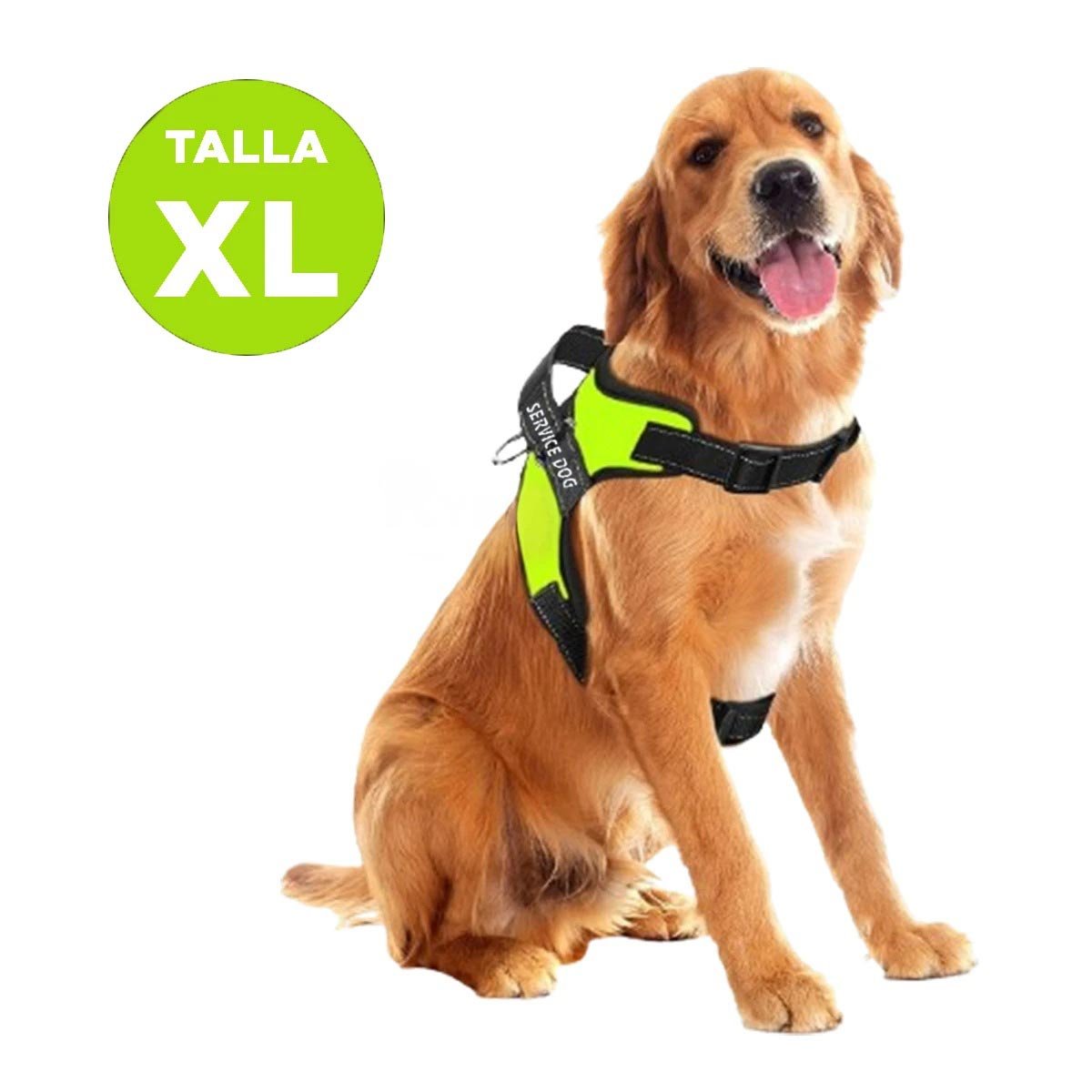 CORREA DE TRABAJO SERVICE DOG TALLA XL VERDE PARA PERRO FUERTE Y+POST IT - 4