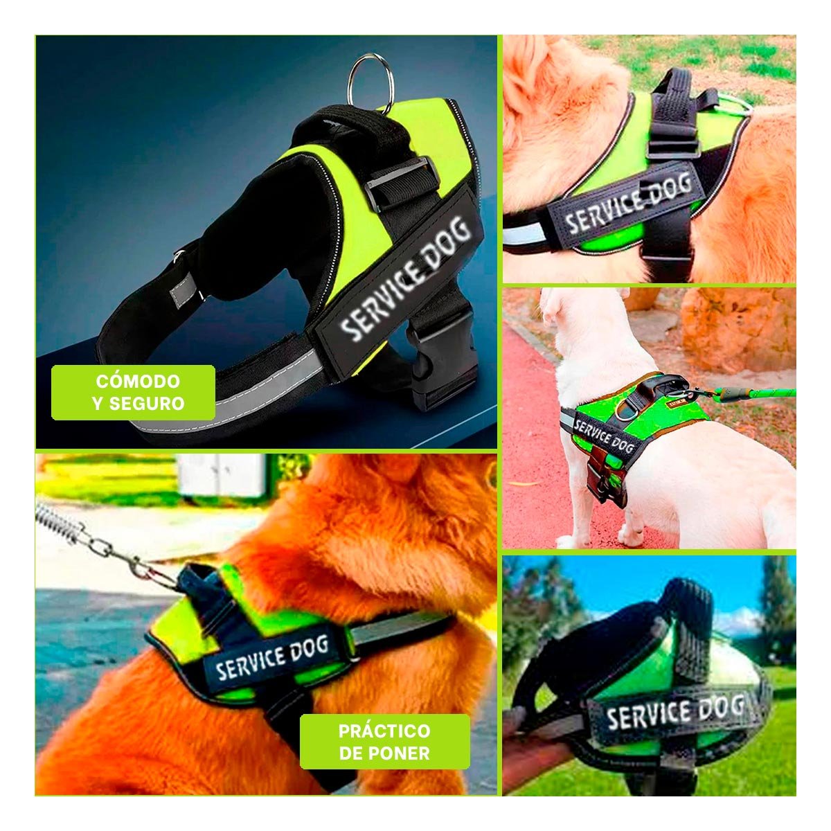 CORREA DE TRABAJO SERVICE DOG TALLA XL VERDE PARA PERRO FUERTE Y+POST IT - 5