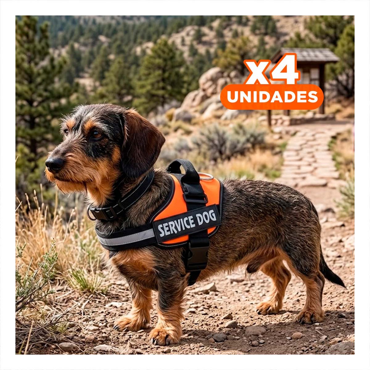 PACK4 ARNES COMODO SERVICE DOG TALLA S ANARANJADO PASEOS LARGOS - 1
