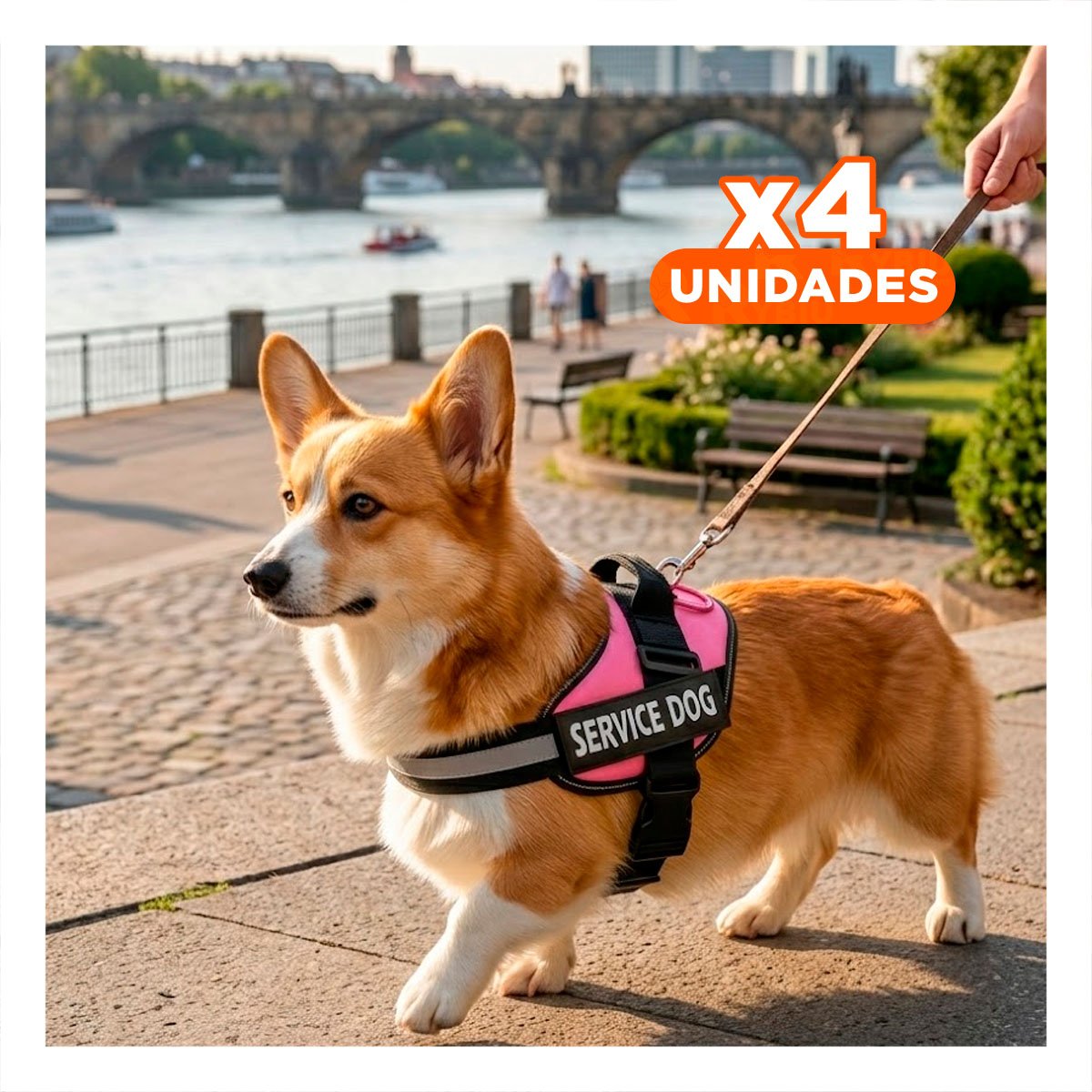 PACK4 ARNES COMODO SERVICE DOG TALLA S ROSADO PASEOS LARGOS - 1