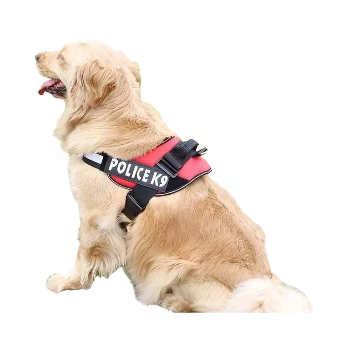 PACK6 ARNES COMODO SERVICE DOG TALLA XXL ROJO PASEOS LARGOS Y+REGALO STICKER - 2