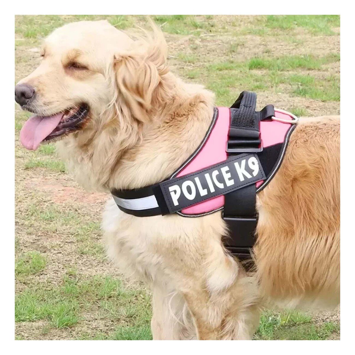 PACK6 ARNES COMODO SERVICE DOG TALLA XXL ROSADO PASEOS LARGOS Y+REGALO STICKER - 5