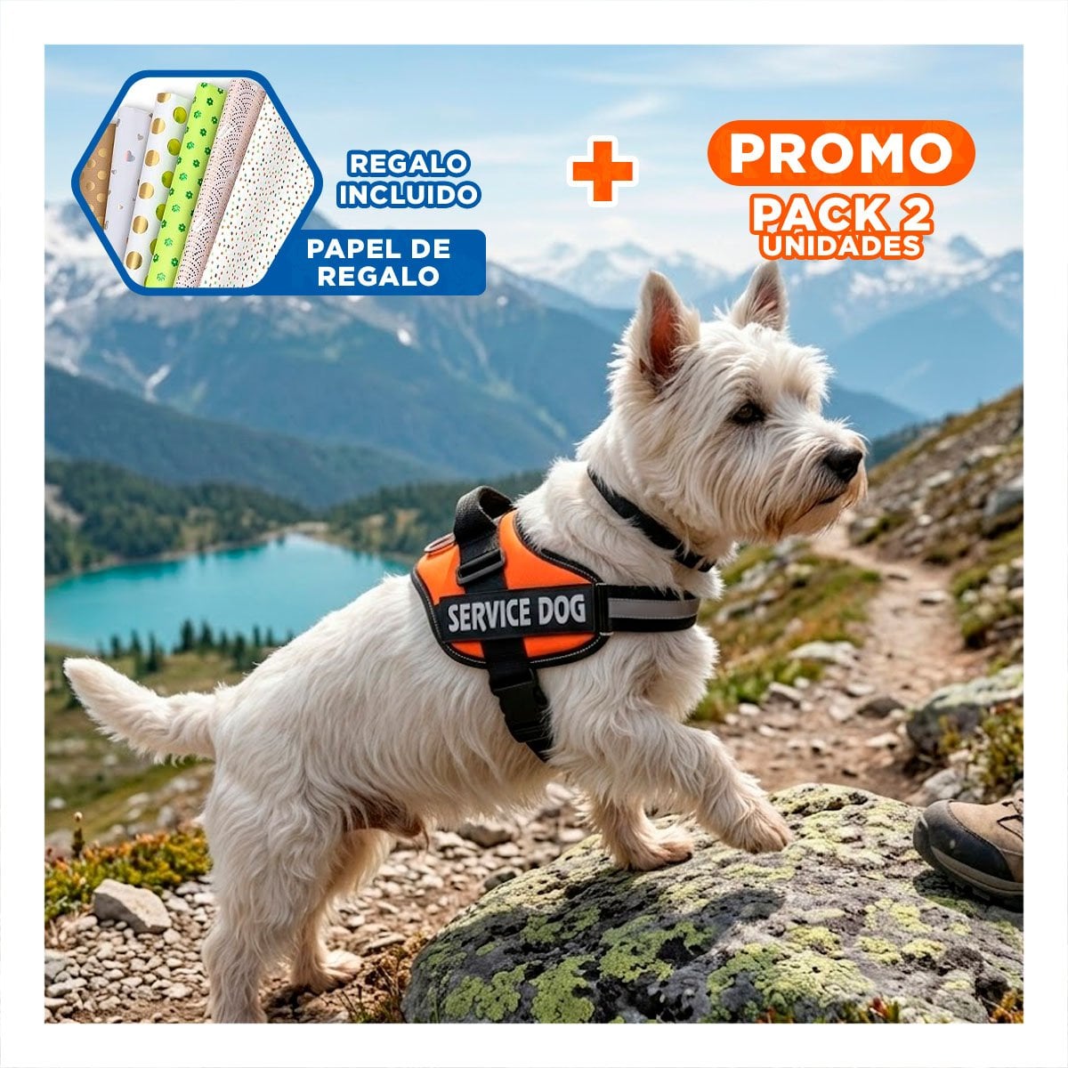 PACK2 CHALECO CANINO SERVICE DOG TALLA S ANARANJADO PARA APOYO Y+PAPEL REGALO - 1