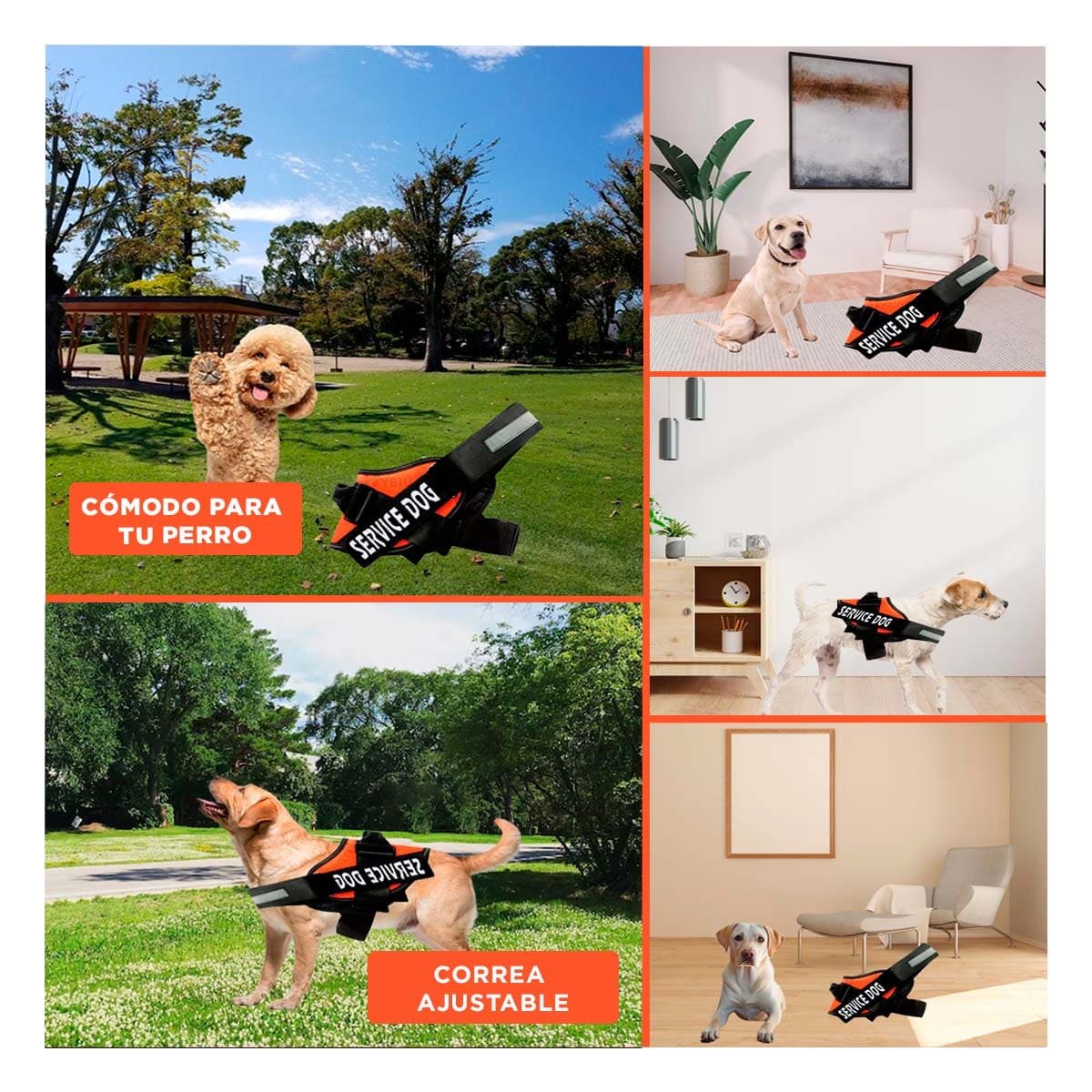 PACK2 CHALECO CANINO SERVICE DOG TALLA S ANARANJADO PARA APOYO Y+PAPEL REGALO - 3