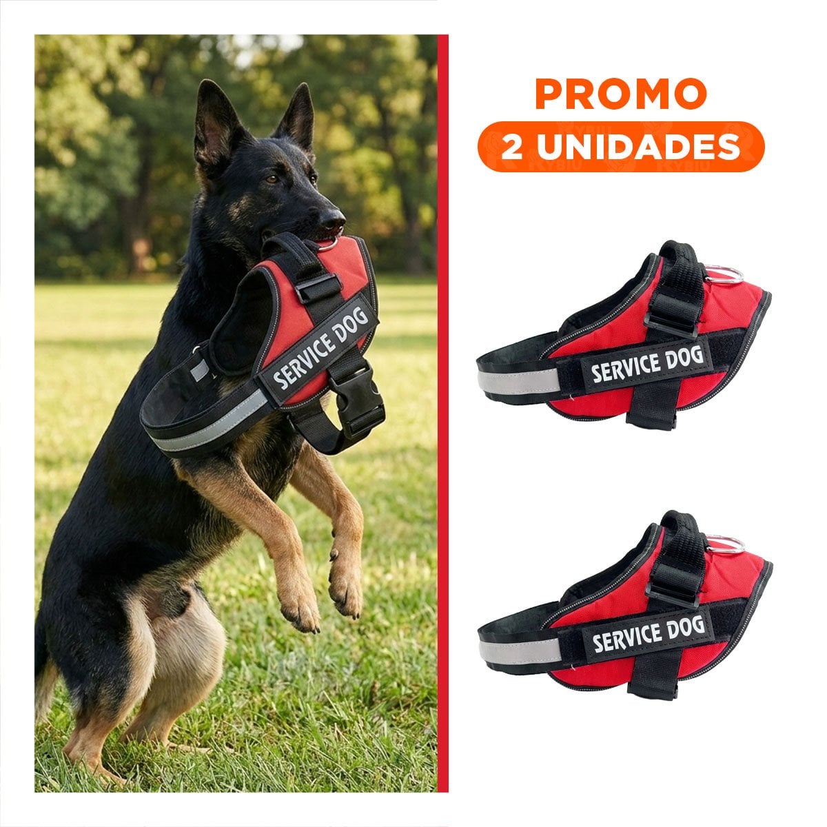 PACK2 EQUIPO AJUSTABLE SERVICE DOG TALLA XL ROJO MASCOTA ACTIVA - 1