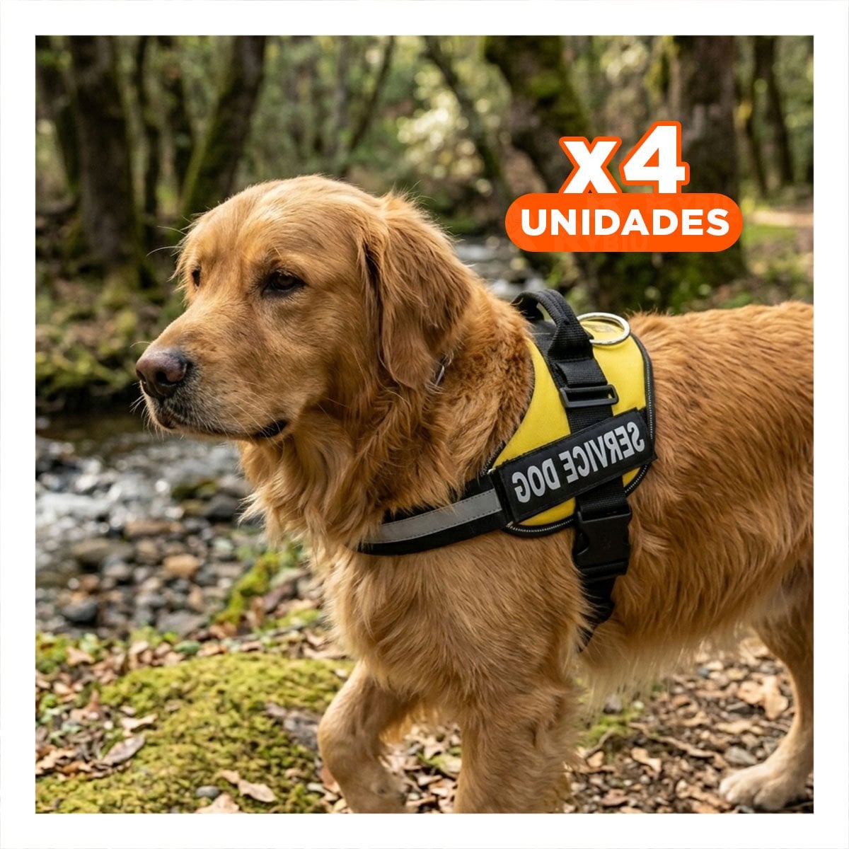 PACK4 ARNES COMODO SERVICE DOG TALLA XXL AMARILLO PASEOS LARGOS - 1