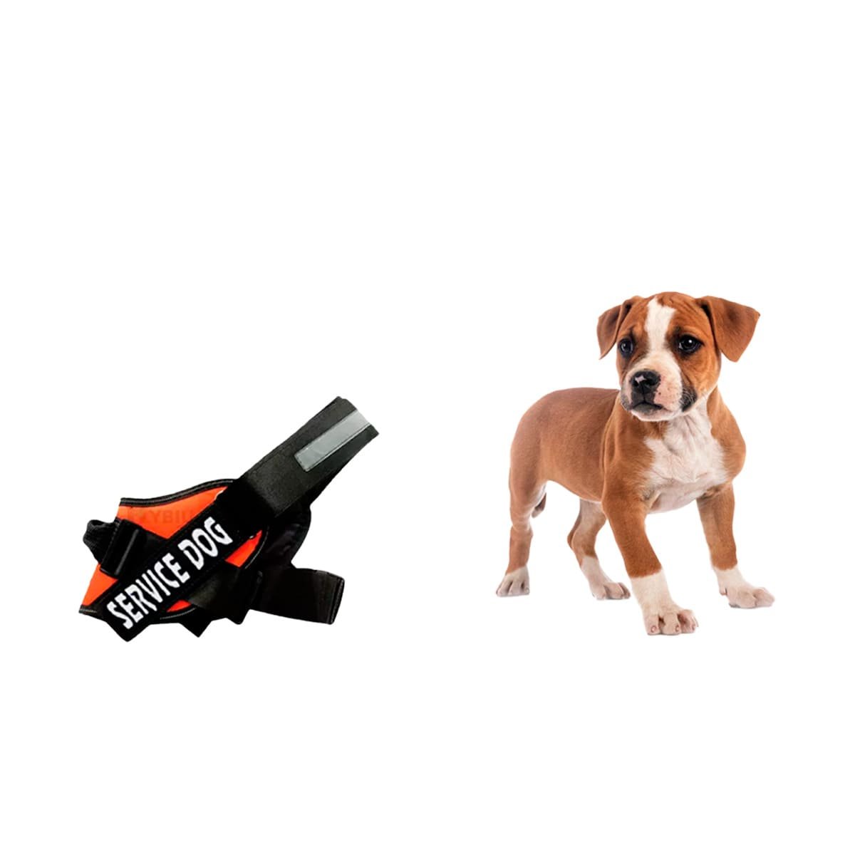 PACK6 CHALECO REFORZADO SERVICE DOG TALLA S ANARANJADO TRABAJO DIARIO Y+REGALO STICKER - 2