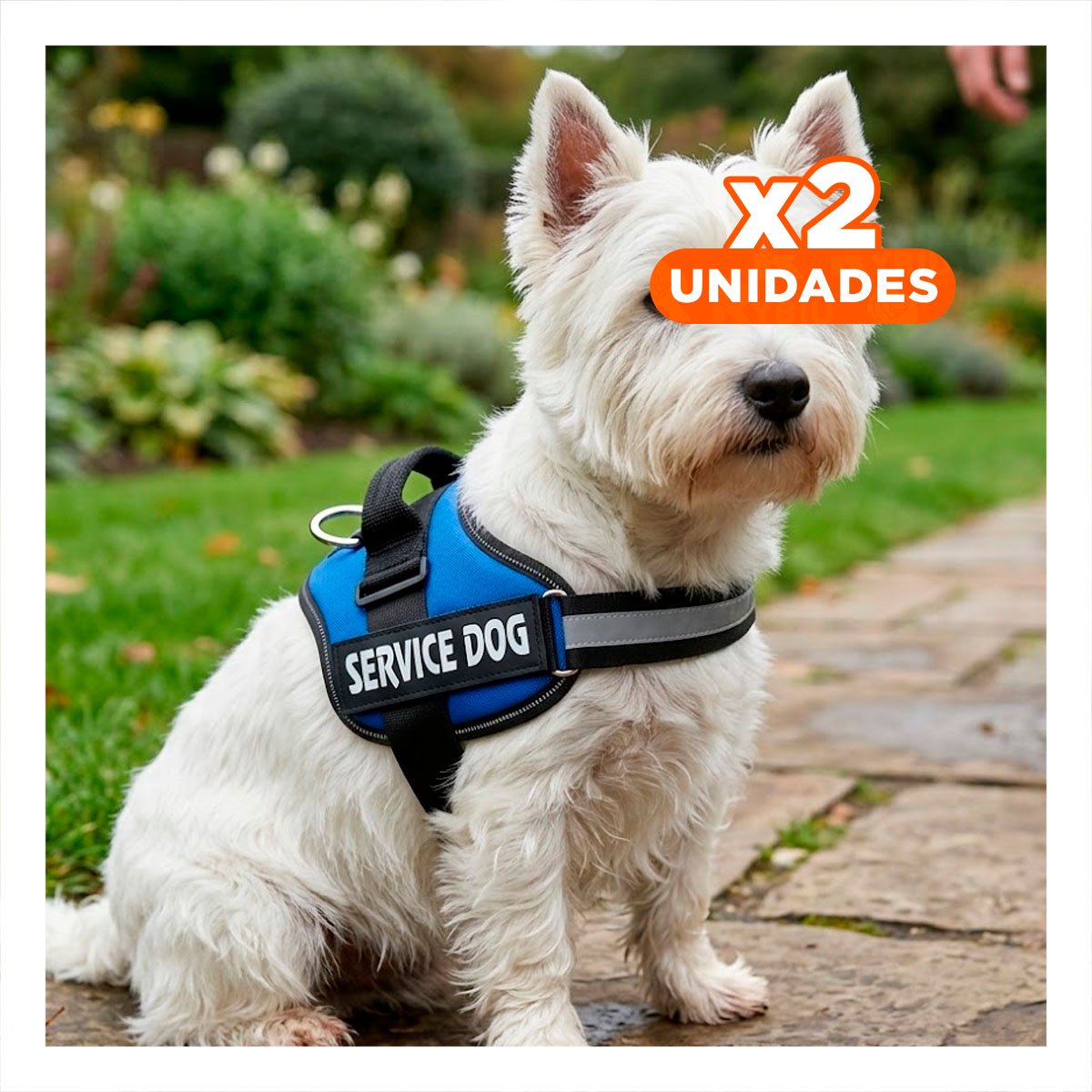 PACK2 PECHERA RESISTENTE SERVICE DOG TALLA S AZUL PARA ENTRENAMIENTO Y+REGALO STICKER - 1
