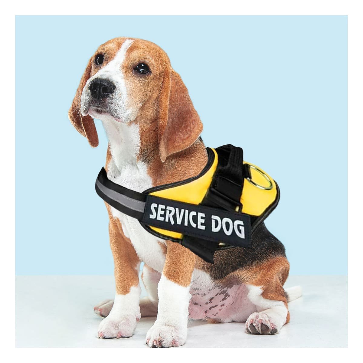 PACK2 CINTURON PECHERA SERVICE DOG TALLA S AMARILLO PARA PASEOS - 2