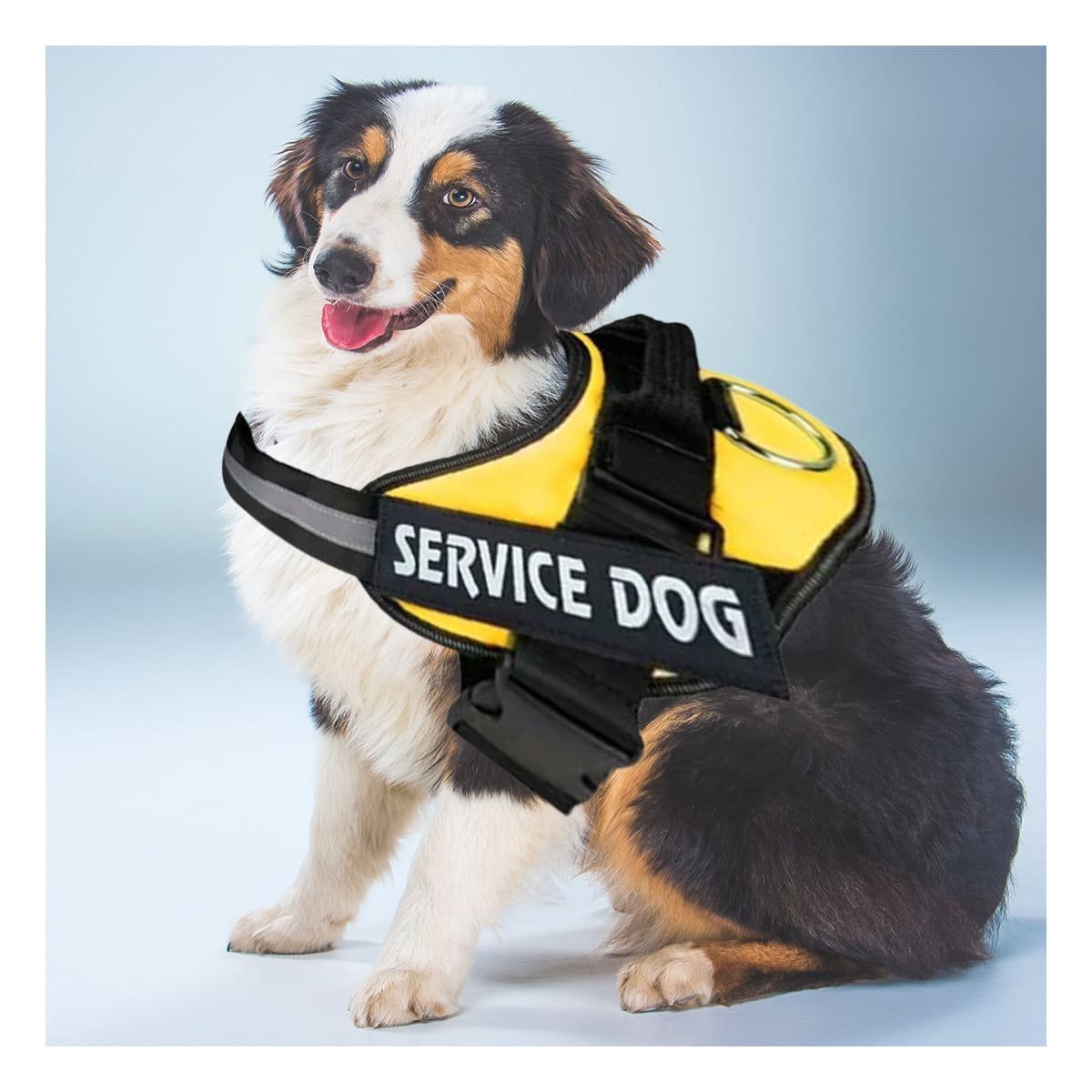 PACK2 CINTURON PECHERA SERVICE DOG TALLA S AMARILLO PARA PASEOS - 3