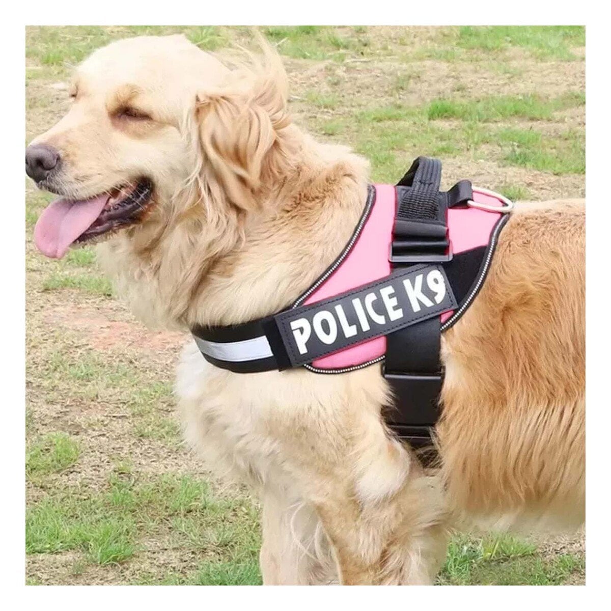 PACK2 EQUIPO DE SERVICIO SERVICE DOG TALLA XXL ROSADO AJUSTE FIRME Y+REGALO STICKER - 3