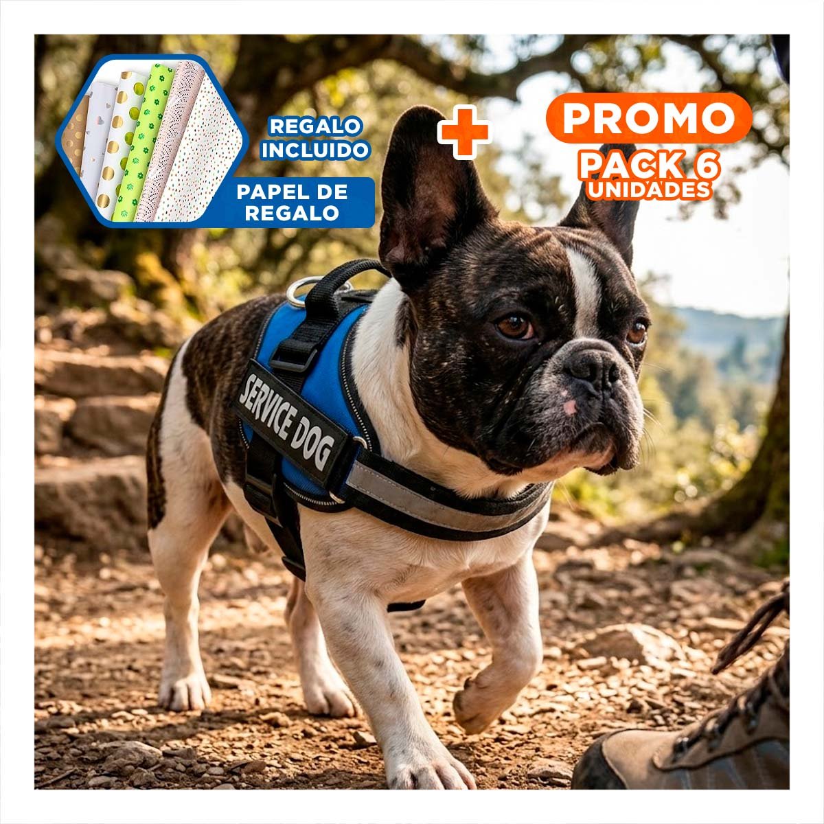 PACK6 ARNES DE PASEO SERVICE DOG TALLA S AZUL PARA MASCOTA URBANA Y+PAPEL REGALO - 1