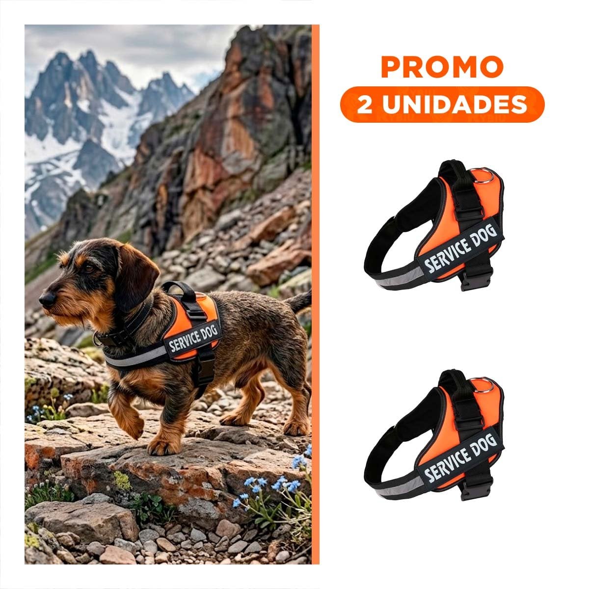 PACK2 ARNES REFORZADO SERVICE DOG TALLA S ANARANJADO USO CONSTANTE - 1