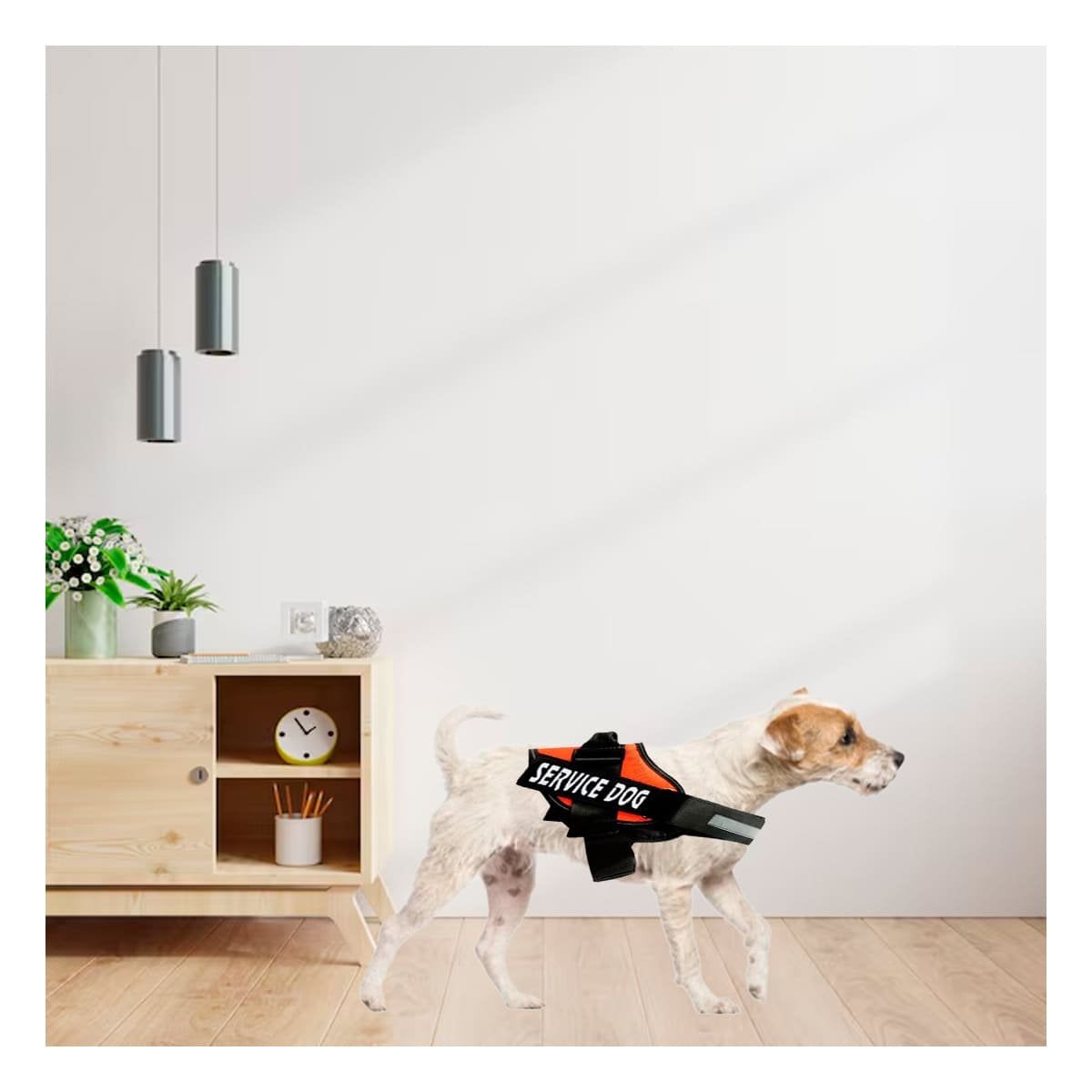 PACK2 ARNES REFORZADO SERVICE DOG TALLA S ANARANJADO USO CONSTANTE - 5