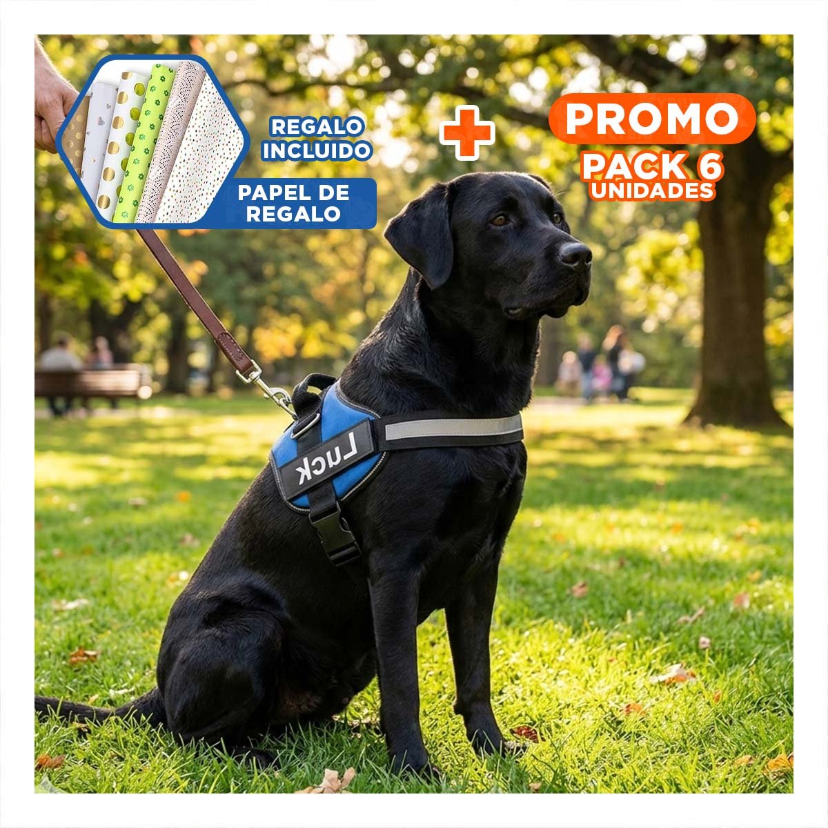 PACK6 ARNES DE PASEO SERVICE DOG TALLA XL AZUL MASCOTA URBANA Y+PAPEL REGALO - 1