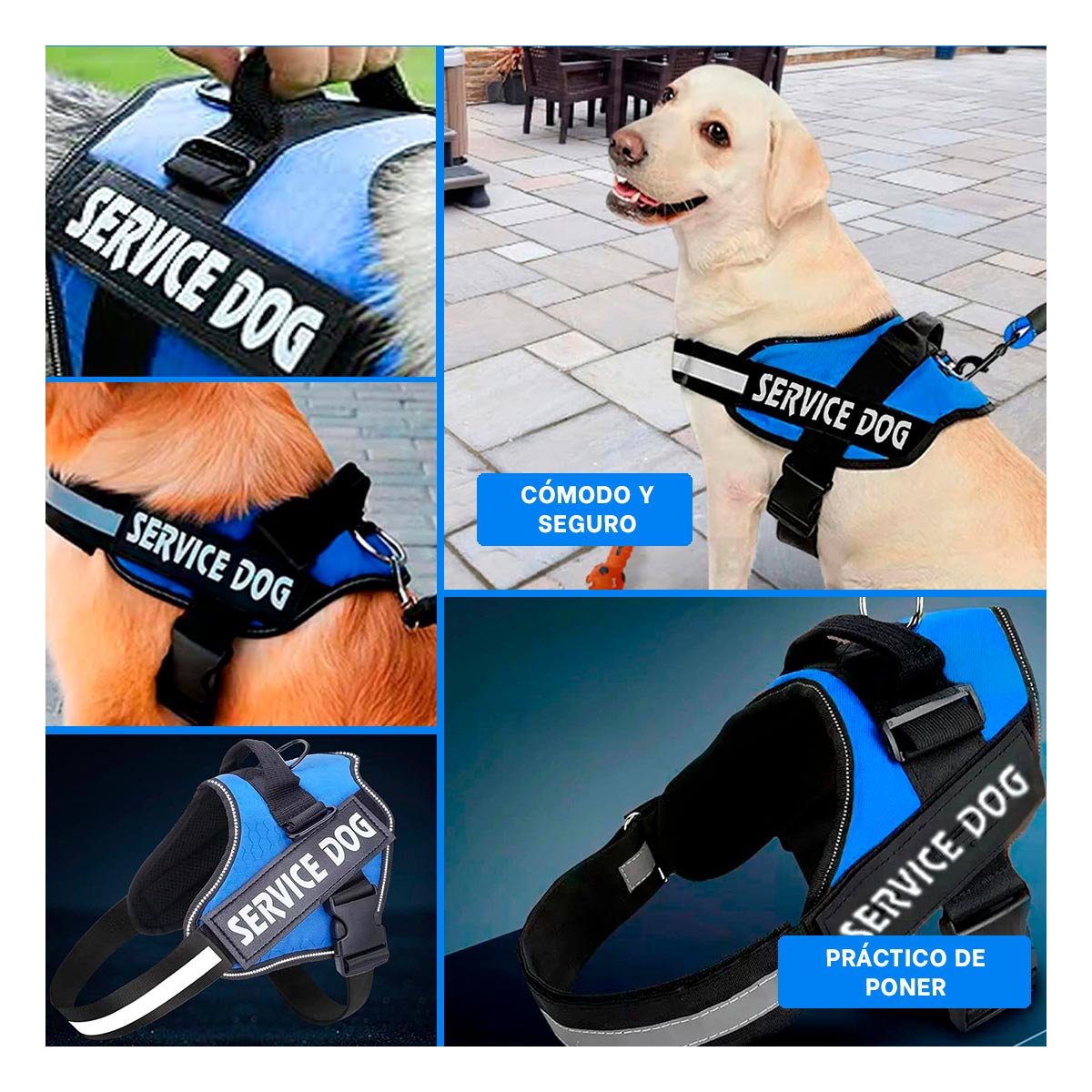PACK2 CHALECO CANINO SERVICE DOG TALLA XXL AZUL PARA APOYO Y+PAPEL REGALO - 3