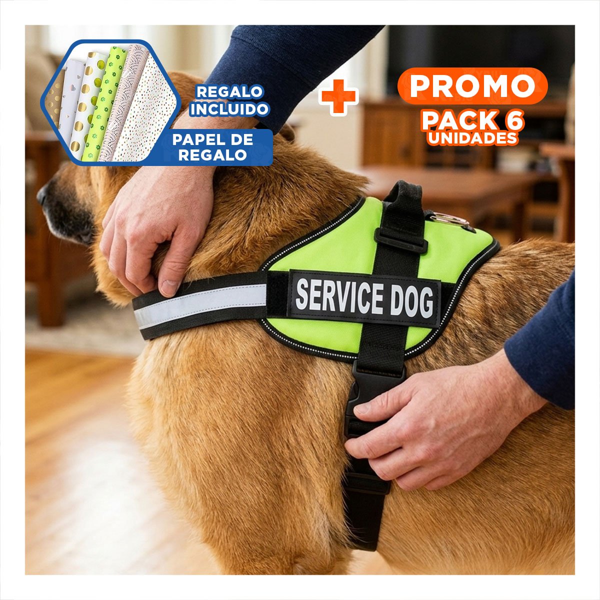 PACK6 ARNES DE PASEO SERVICE DOG TALLA XL VERDE MASCOTA URBANA Y+PAPEL REGALO - 1