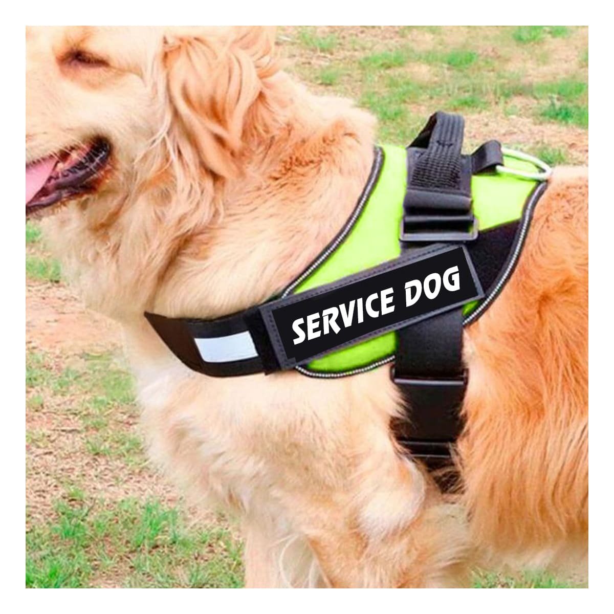 PACK2 EQUIPO PECHERA SERVICE DOG TALLA M VERDE AJUSTABLE MASCOTA - 2