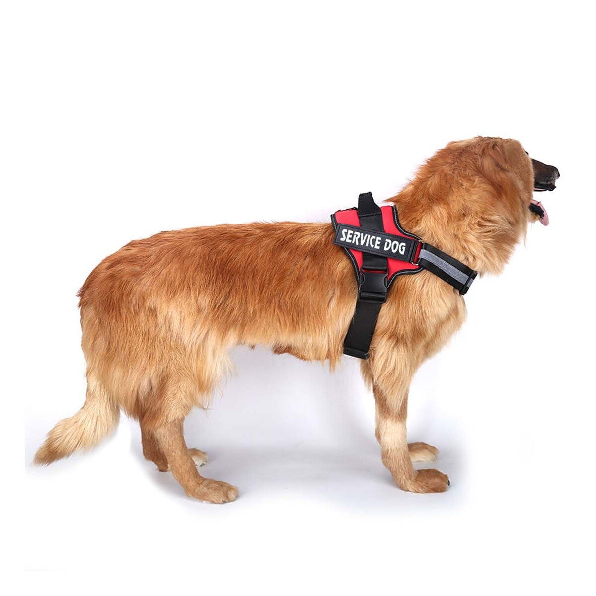 PACK4 PECHERA REFORZADA CON ASA SERVICE DOG TALLA S ROJO Y+PAPEL REGALO - 3