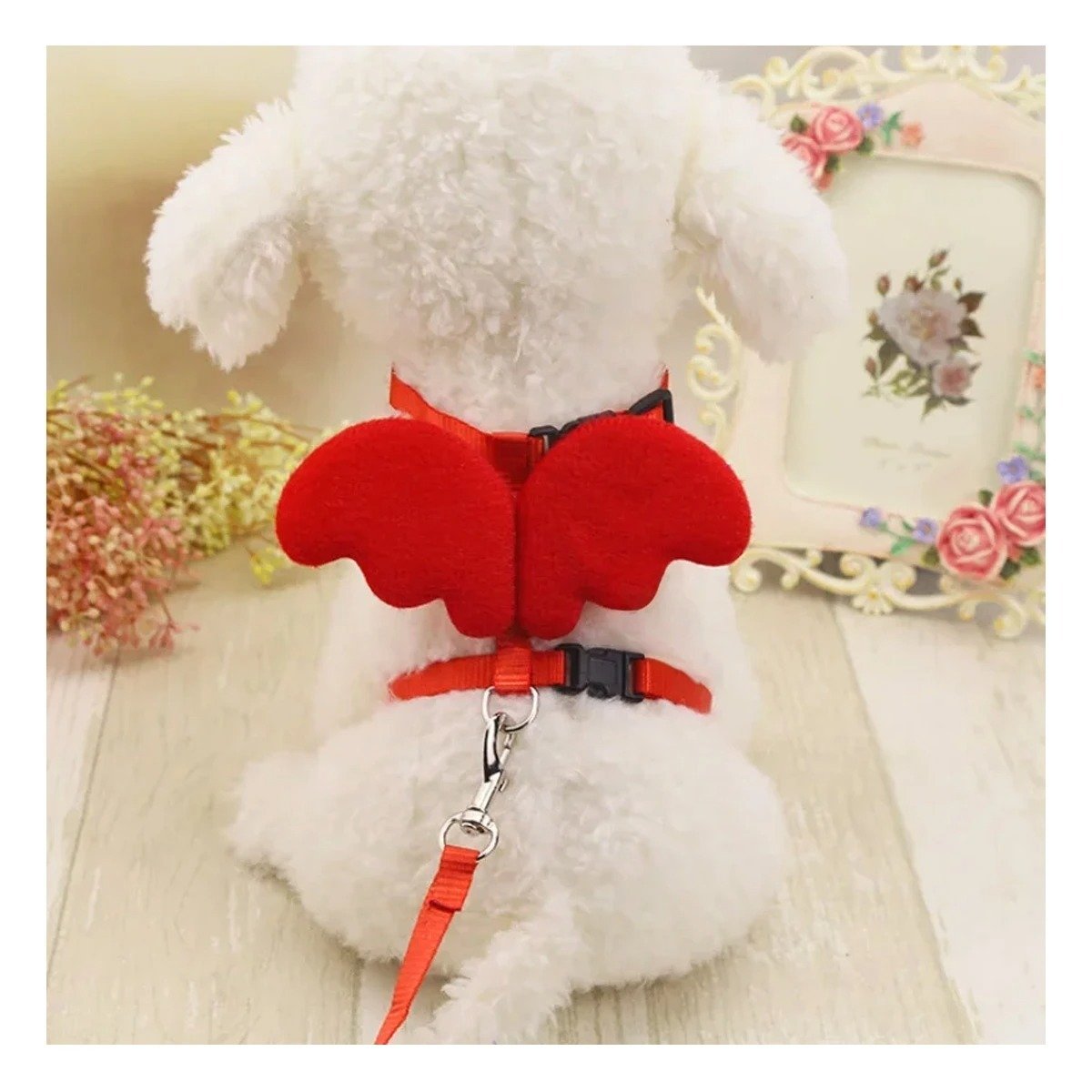 PACK2 PROTECTOR CON ALITAS PEQUENAS ROJO PET AJUSTABLE Y COMODO Y+REGALO STICKER - 3