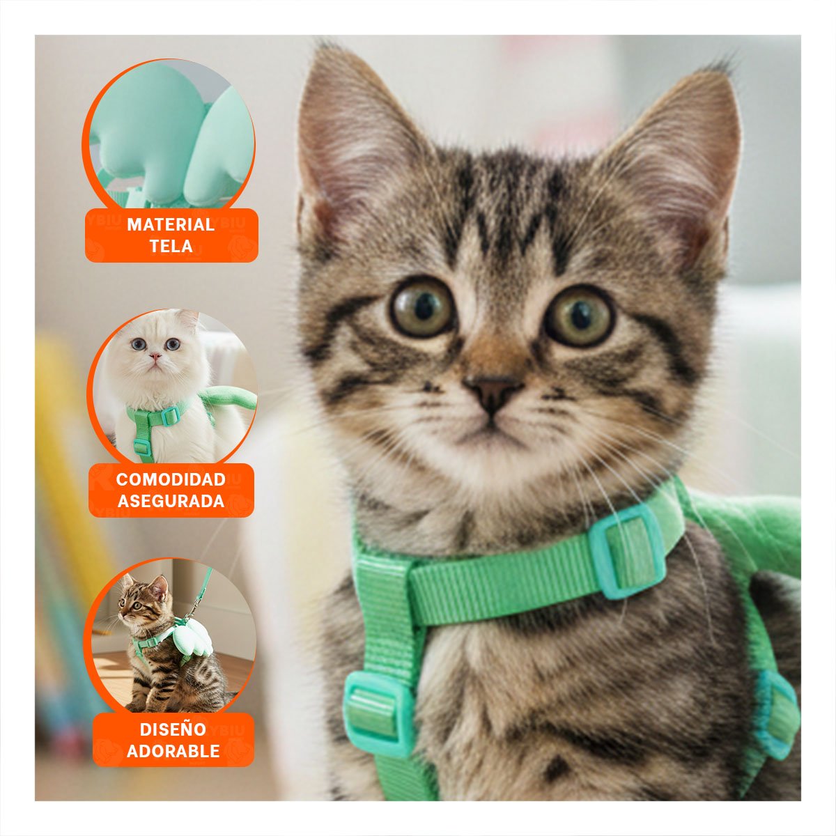 PACK2 SOPORTE CON ALITAS PEQUENAS TURQUESA PET LIGERO Y RESISTENTE Y+PAPEL REGALO - 2