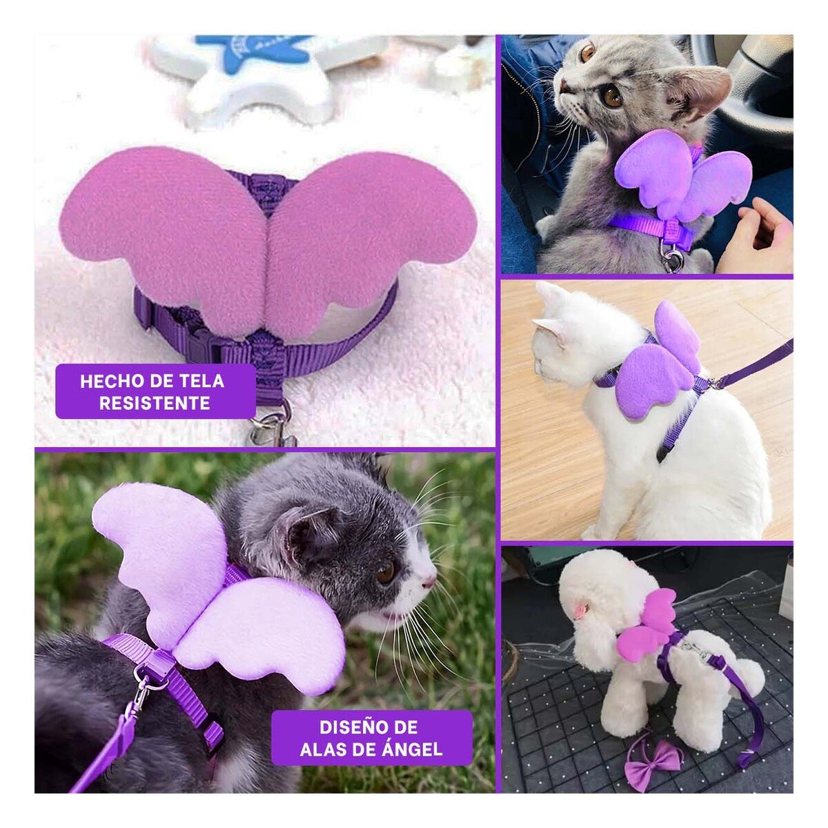 PACK4 CHALECO REGULABLE PET CON ALITAS PEQUENAS Y AJUSTE COMODO LILA Y+REGALO STICKER - 2