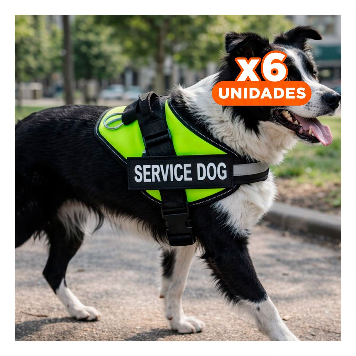 PACK6 ARNES PECHERA SERVICE DOG TALLA M VERDE AJUSTABLE Y+REGALO STICKER - 1