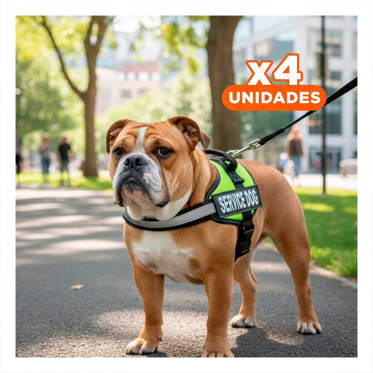 PACK4 ARNES PECHERA SERVICE DOG TALLA M VERDE PASEOS LARGOS - 1