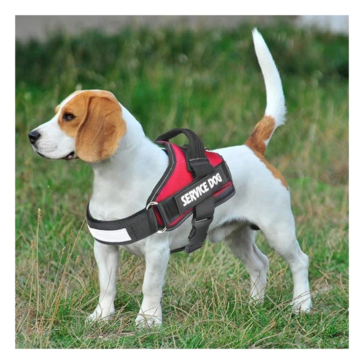 PACK6 HARNESS AJUSTABLE CON ASA DE SEGURIDAD SERVICE DOG TALLA S ROJO - 3