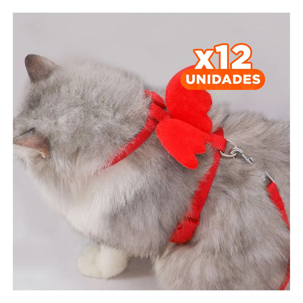 PACK12 CHALECO PET ROJO CON ALITAS PEQUENAS LIGERO Y AJUSTABLE - 1