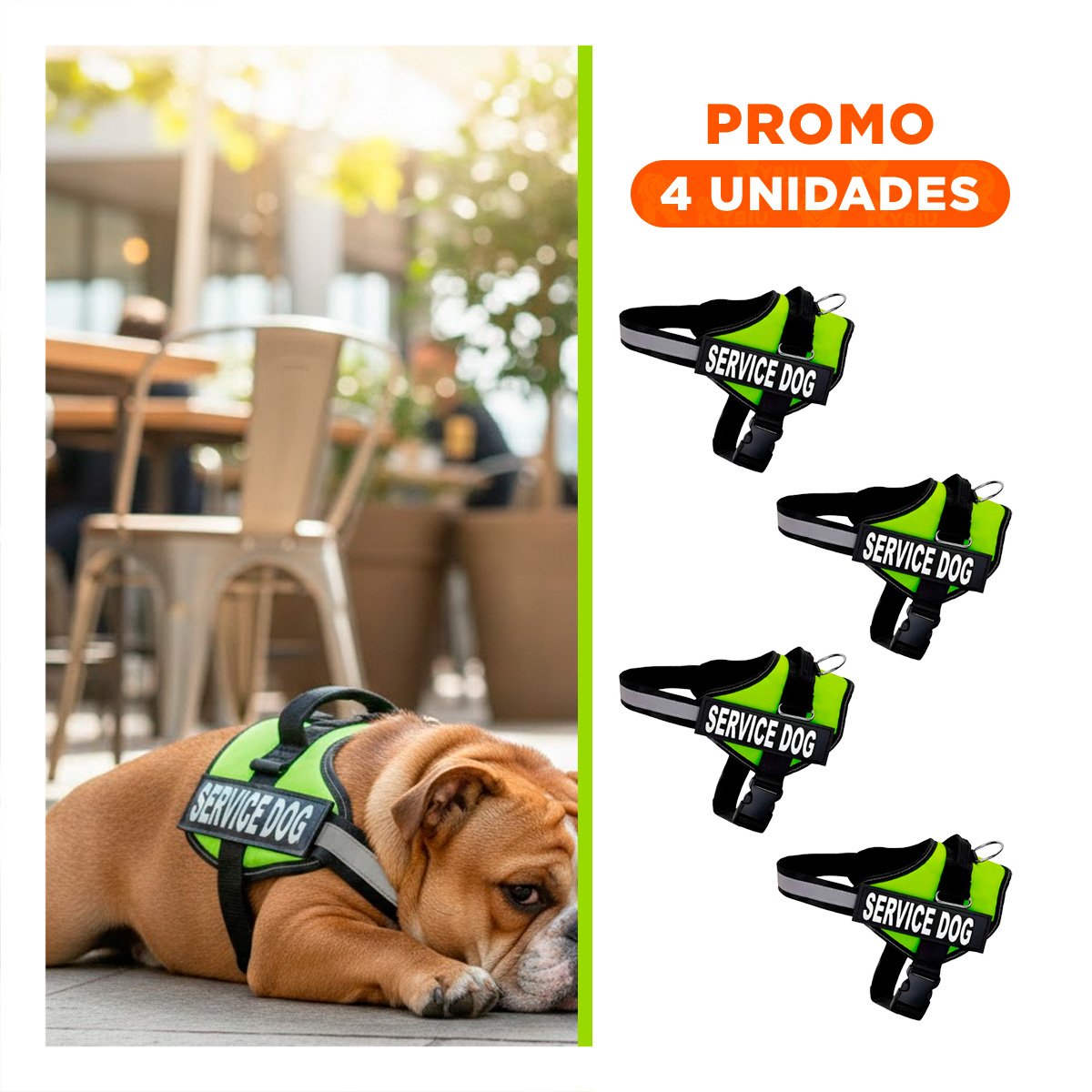 PACK4 EQUIPO PECHERA SERVICE DOG TALLA M VERDE PARA MASCOTAS Y+REGALO STICKER - 1