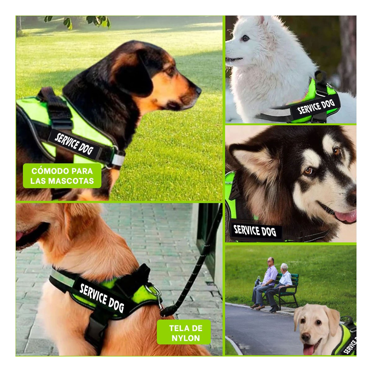 PACK4 EQUIPO PECHERA SERVICE DOG TALLA M VERDE PARA MASCOTAS Y+REGALO STICKER - 2