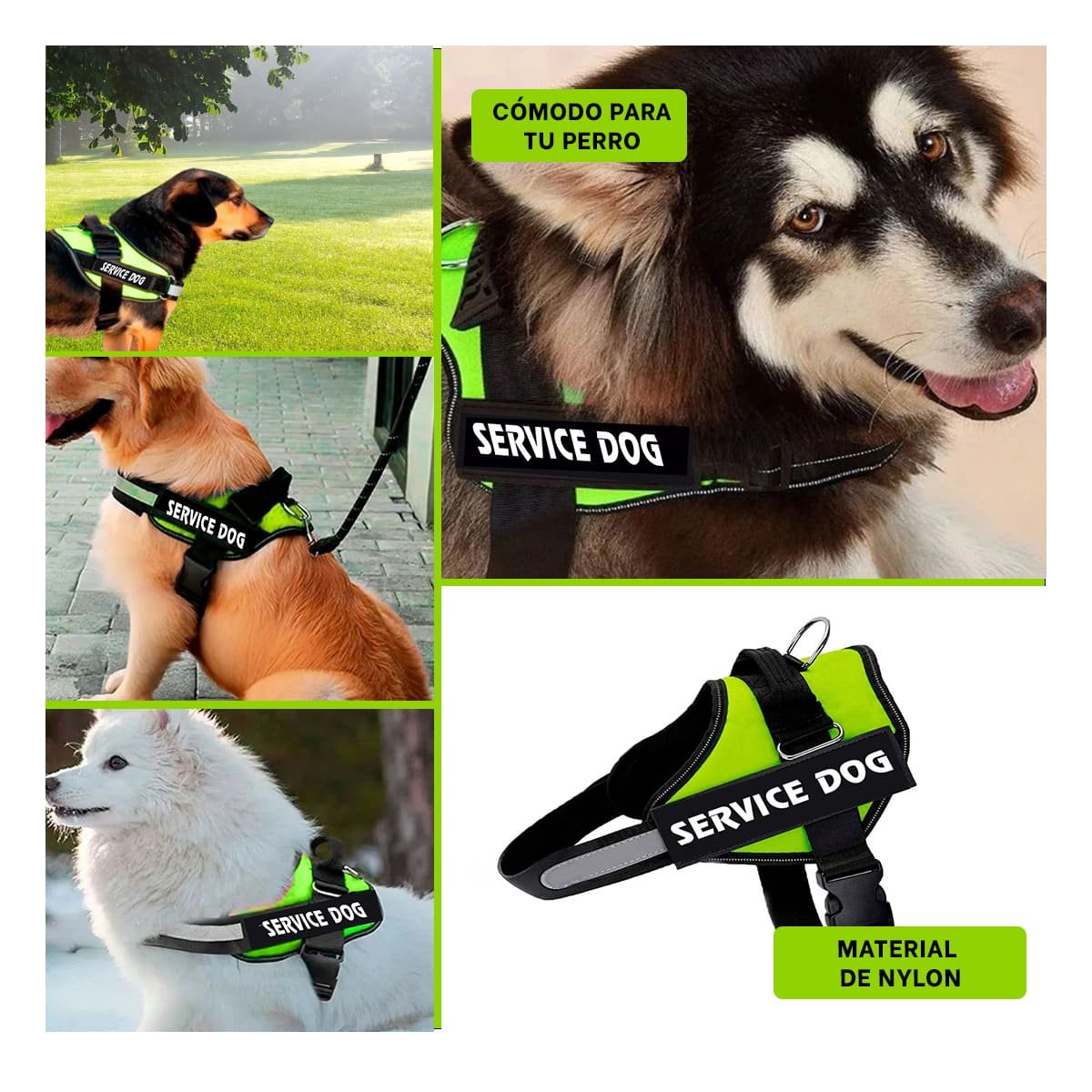 PACK6 CORREA PECHERA SERVICE DOG TALLA M VERDE PARA ENTRENAR Y+PAPEL REGALO - 3