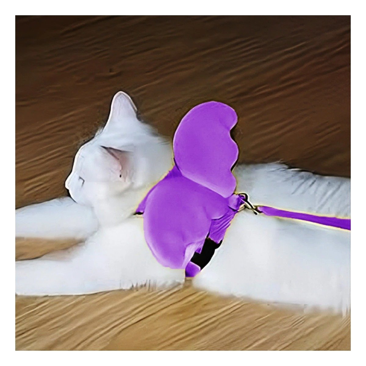PACK12 HARNESS PET CON ALITAS PEQUENAS REGULABLE COLOR LILA Y+PAPEL REGALO - 5