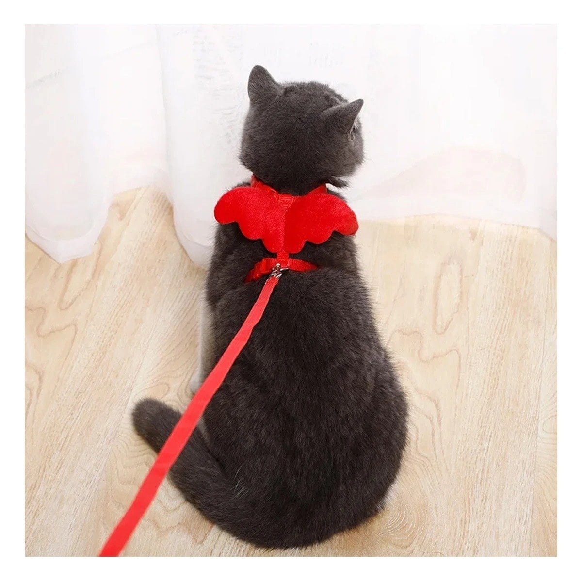 ARNES CON ALITAS PEQUENAS ROJO PET AJUSTABLE Y SEGURO Y+LIGAS REGALO - 2