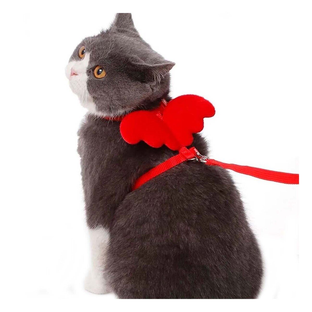 ARNES CON ALITAS PEQUENAS ROJO PET AJUSTABLE Y SEGURO Y+LIGAS REGALO - 3