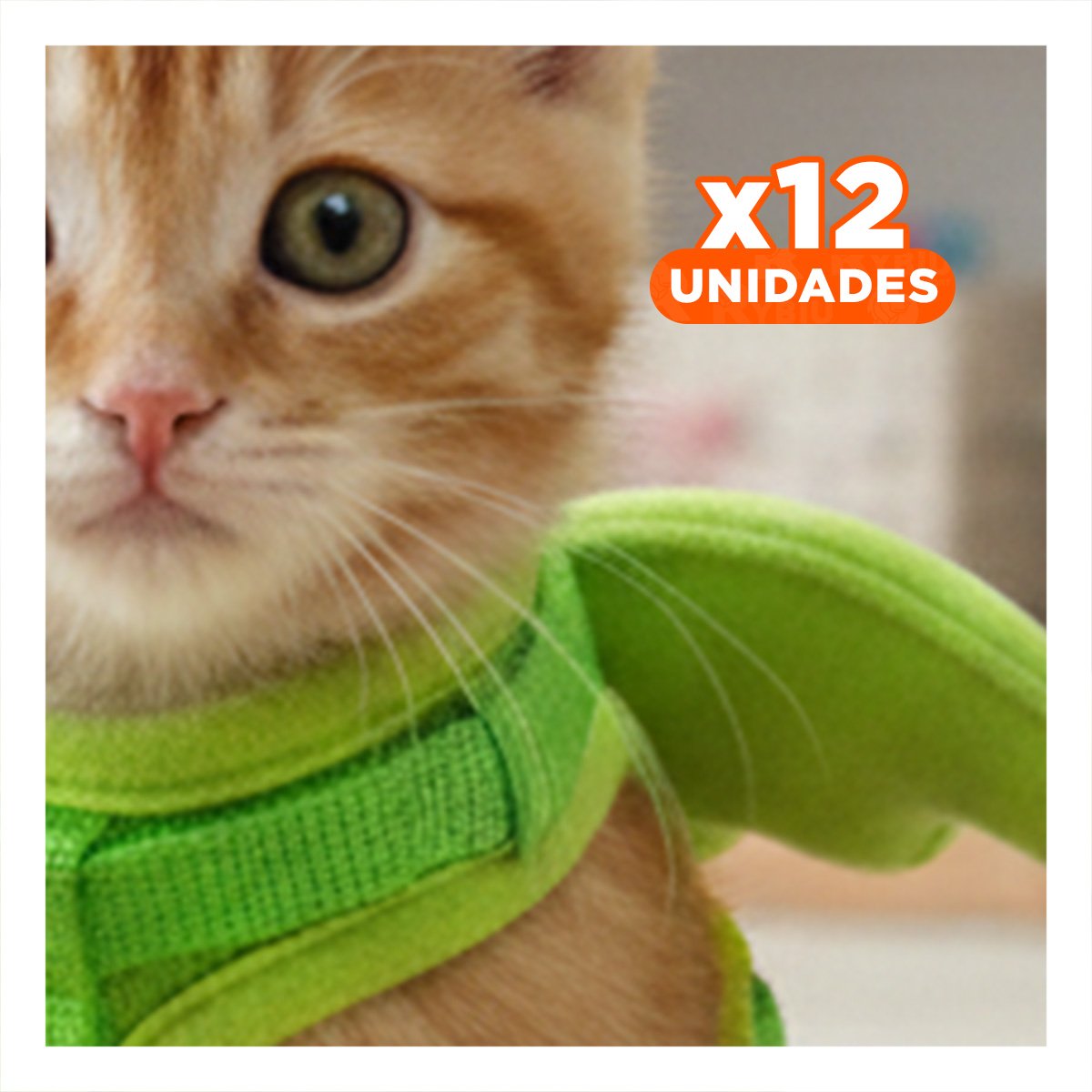 PACK12 CHALECO PET VERDE CON ALITAS PEQUENAS LIGERO Y AJUSTABLE - 1