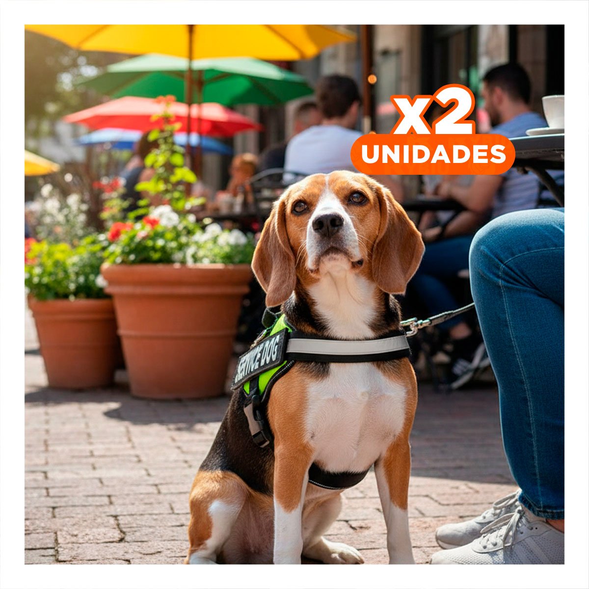 PACK2 CORREA PECHERA SERVICE DOG TALLA M VERDE RESISTENTE Y+REGALO STICKER - 1